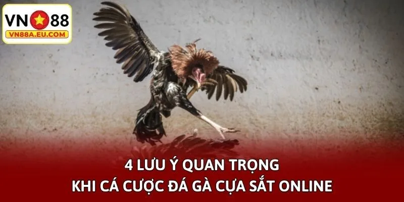4 lưu ý quan trọng khi cá cược đá gà cựa sắt online
