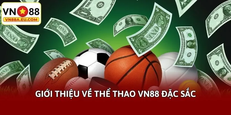 Giới thiệu về thể thao VN88 đặc sắc